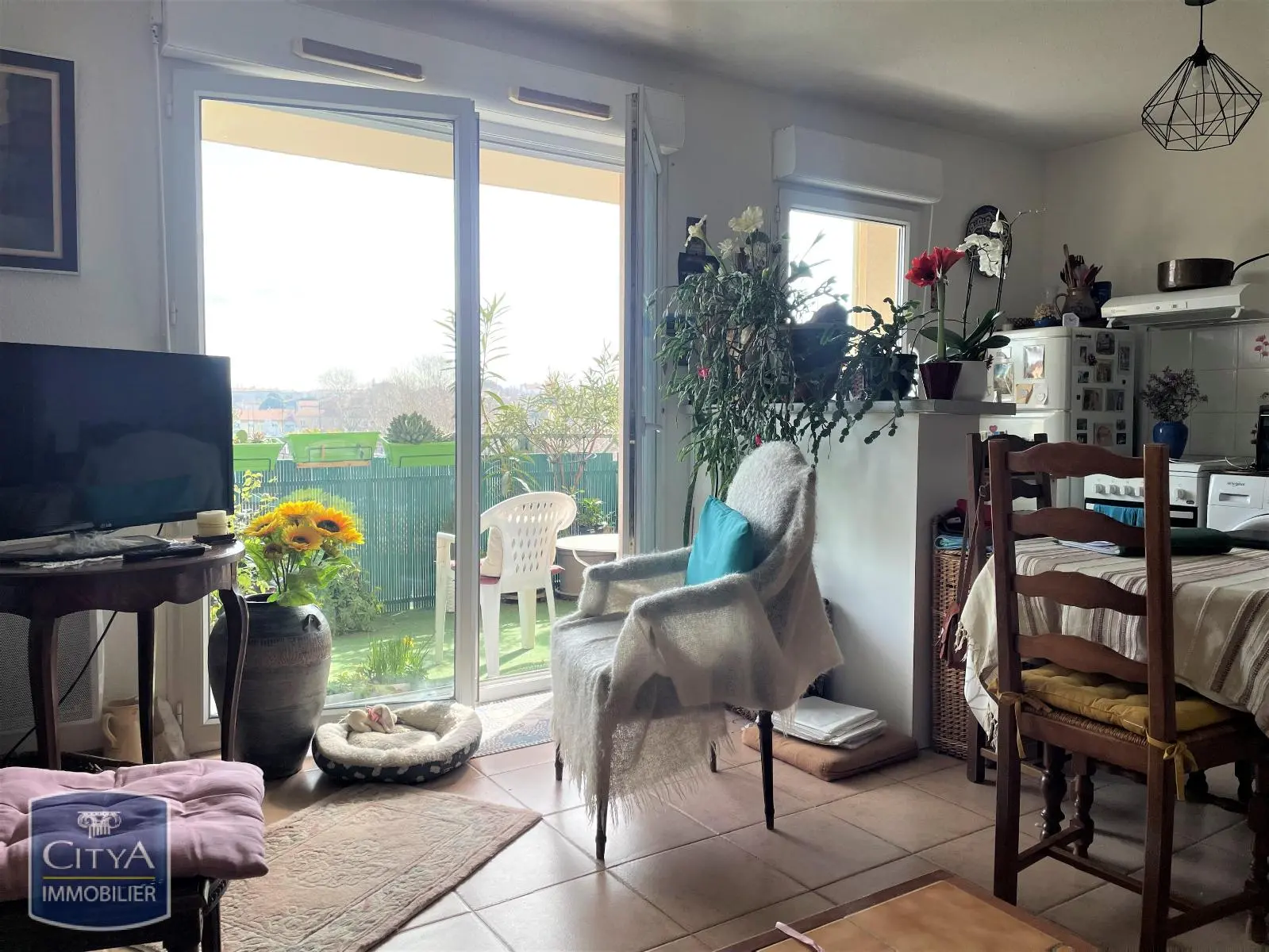 Photo 4 appartement Carcassonne