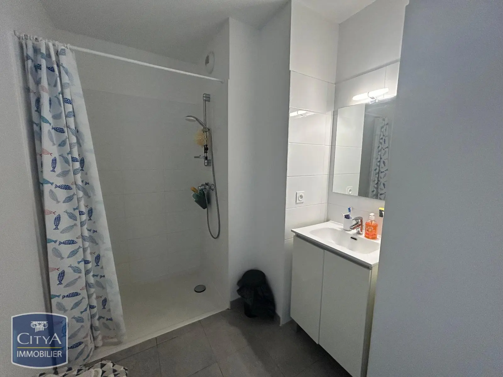 Photo 3 Appartement 1 pièce 22.8m²