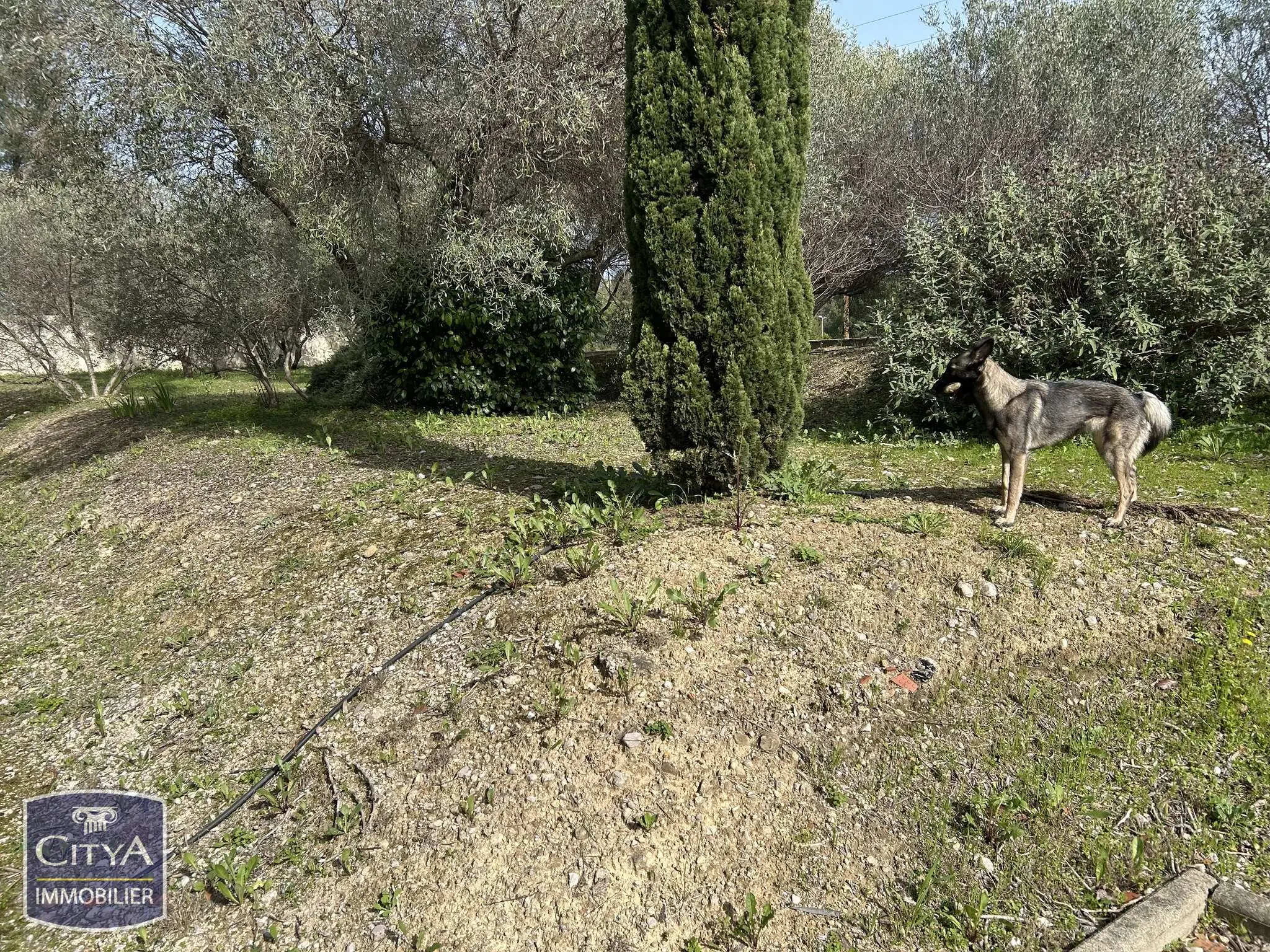 Photo 21 Appartement 1 pièce 18.65m²