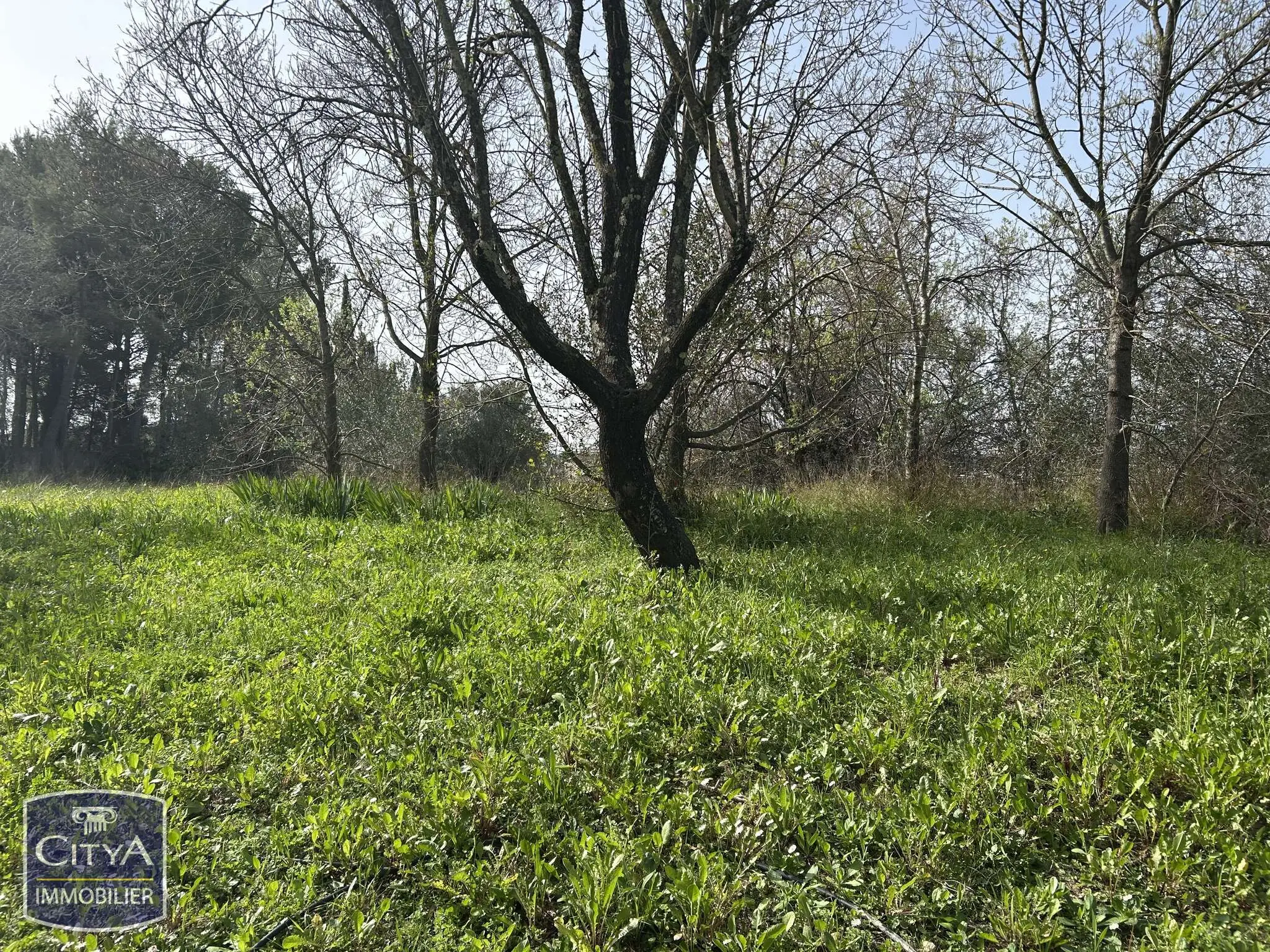 Photo 7 Appartement 1 pièce 18.65m²