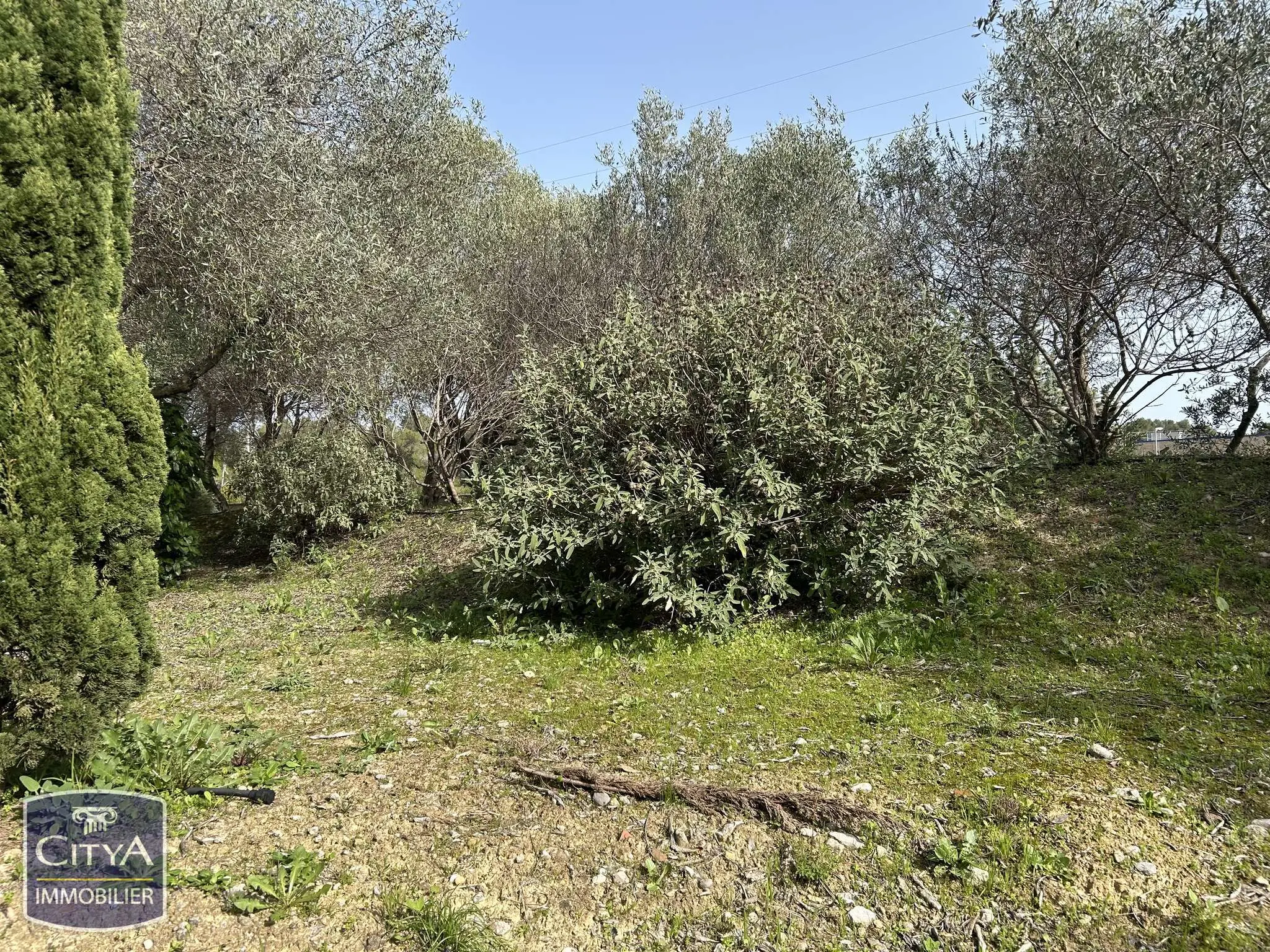 Photo 16 Appartement 1 pièce 18.65m²