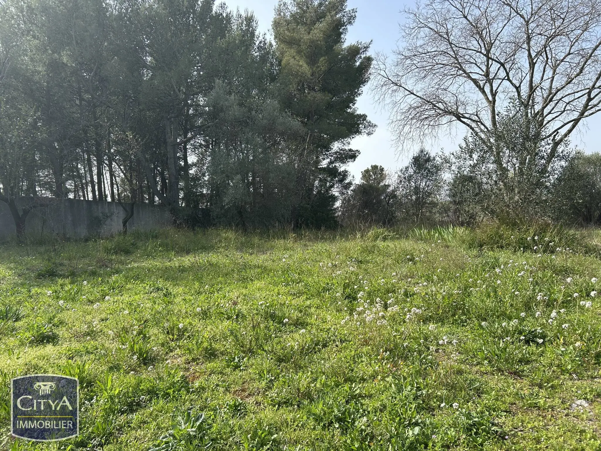 Photo 19 Appartement 1 pièce 18.65m²