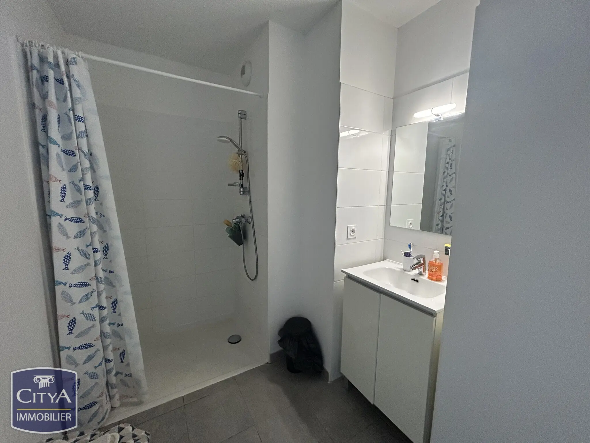 Photo 3 Appartement 1 pièce 22m²