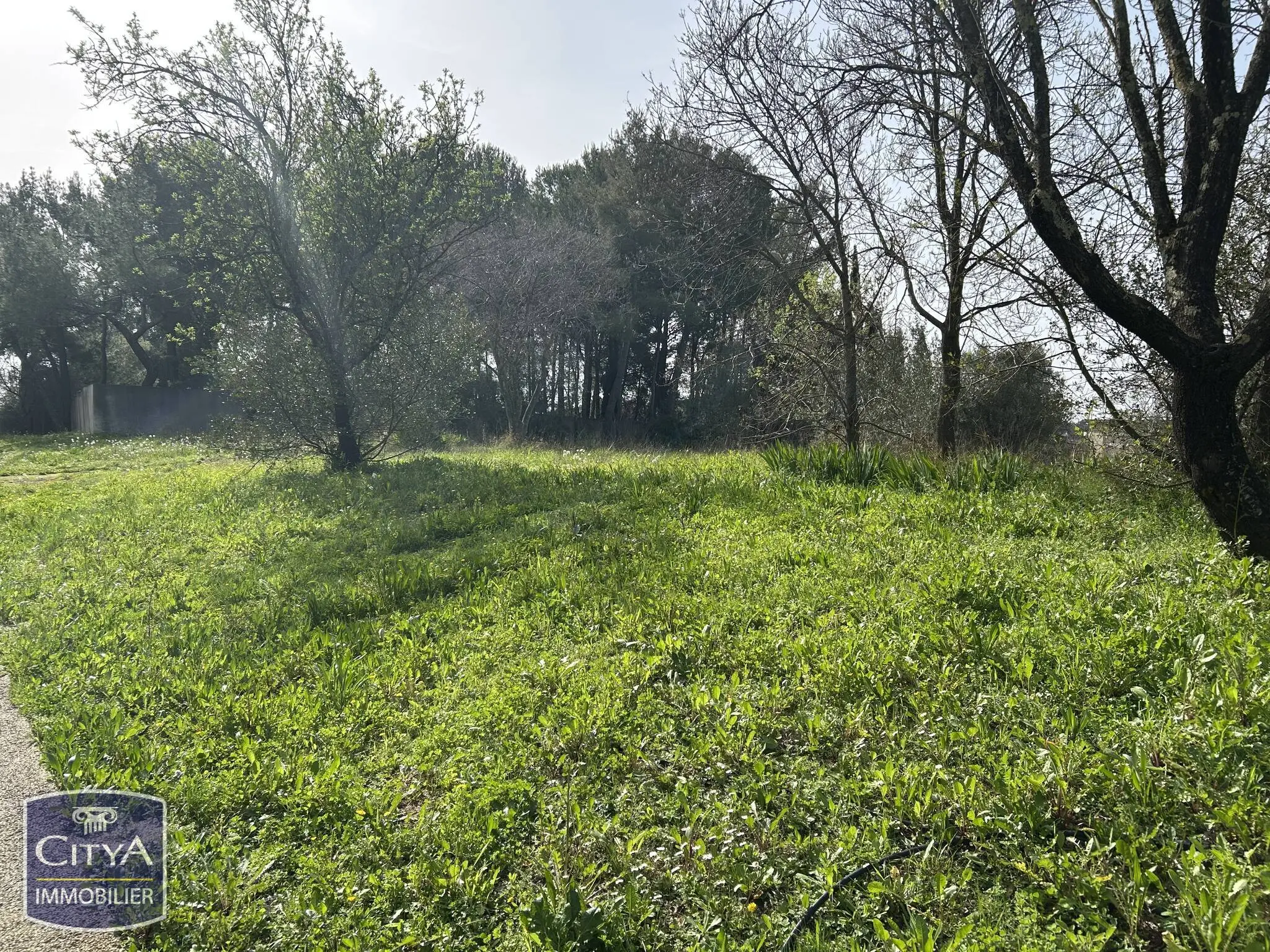 Photo 11 Appartement 1 pièce 18.65m²