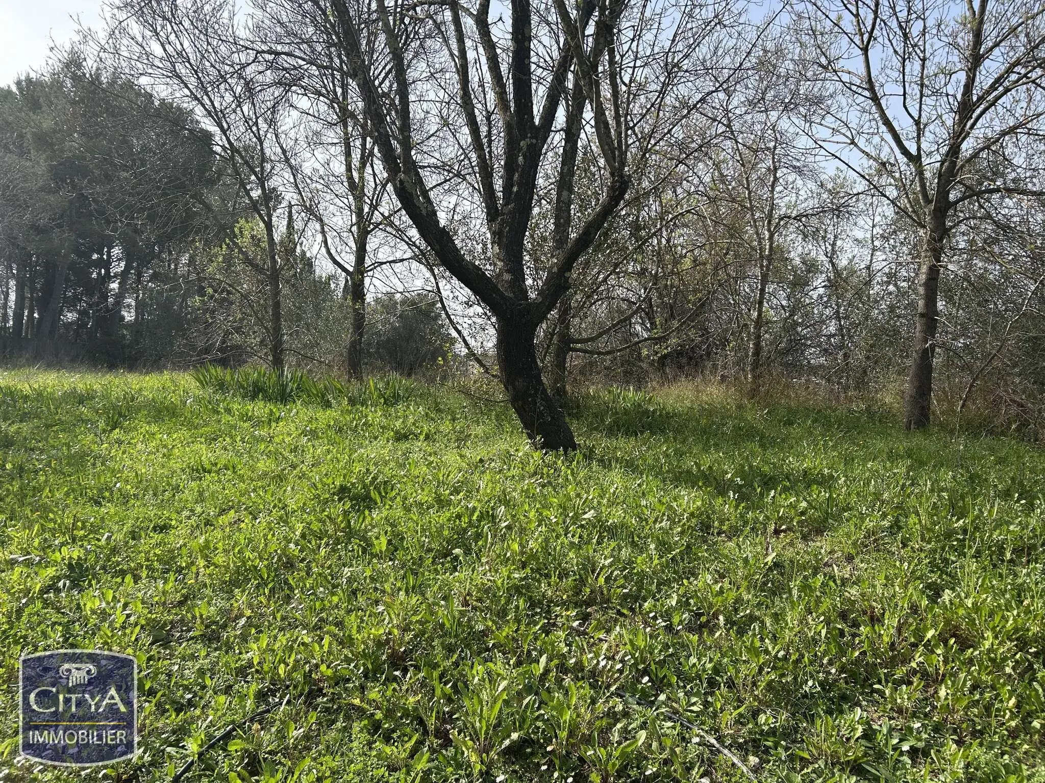 Photo 13 Appartement 1 pièce 18.65m²