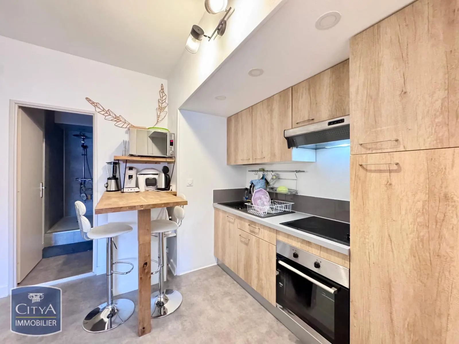 Photo 3 Appartement 2 pièces 42.47m²