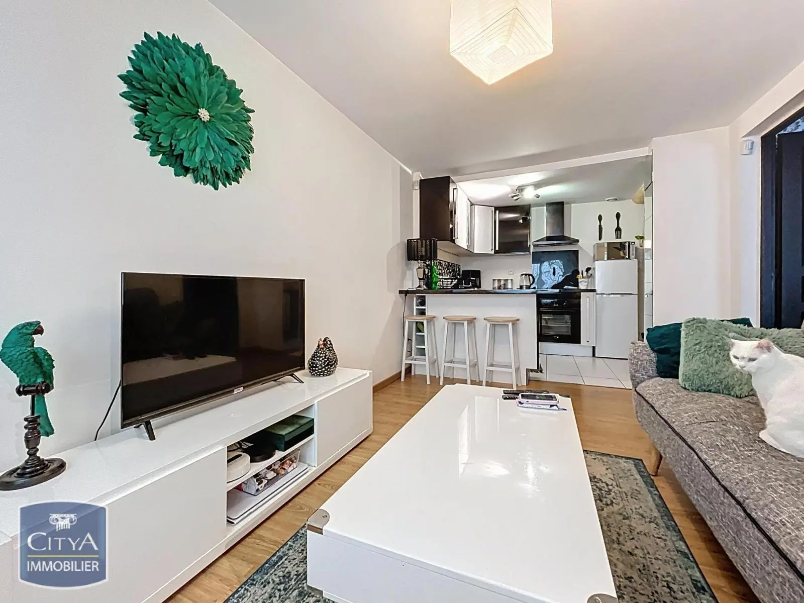 Photo 1 Appartement 2 pièces 37.52m²