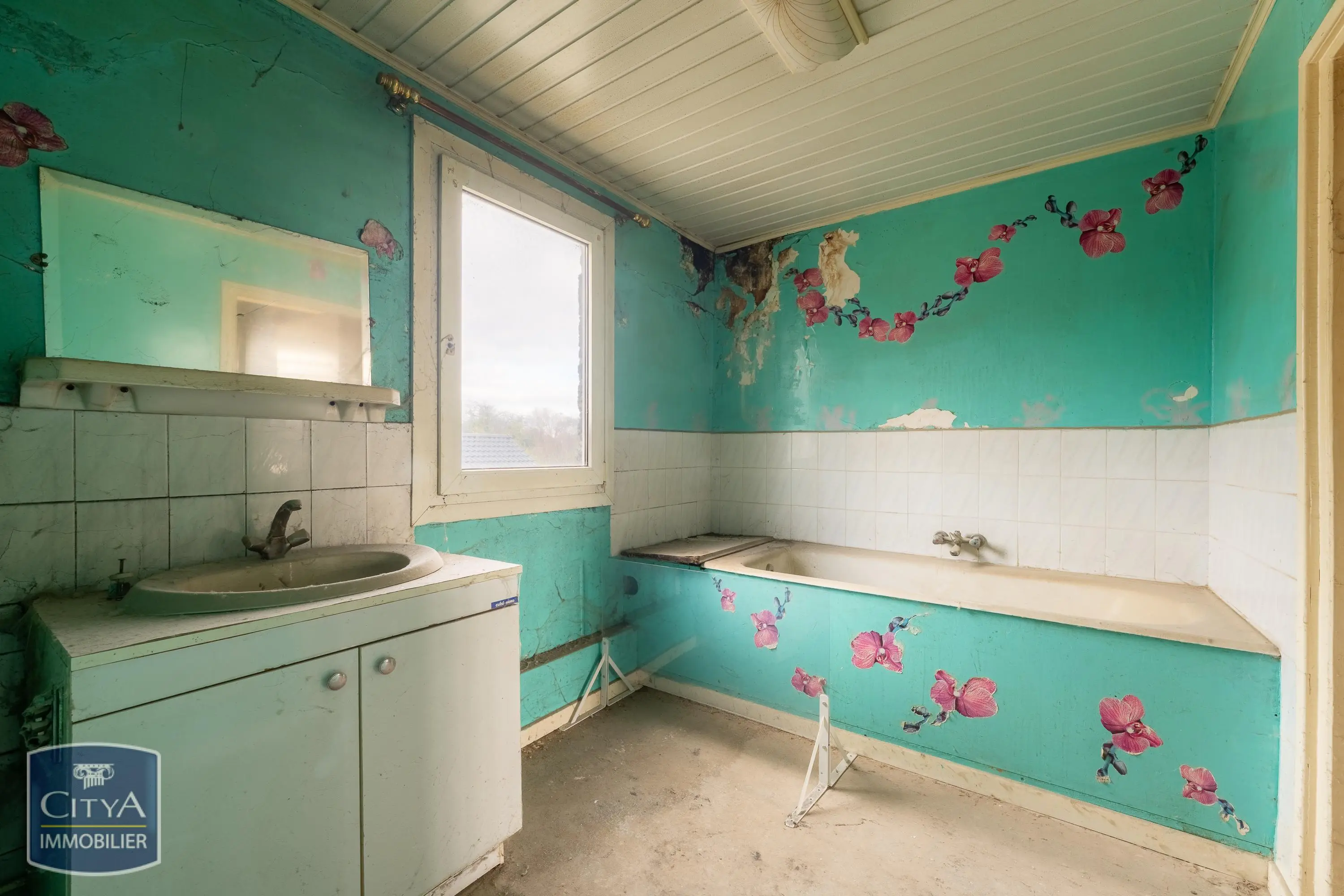 Photo 12 Immeuble 175m²