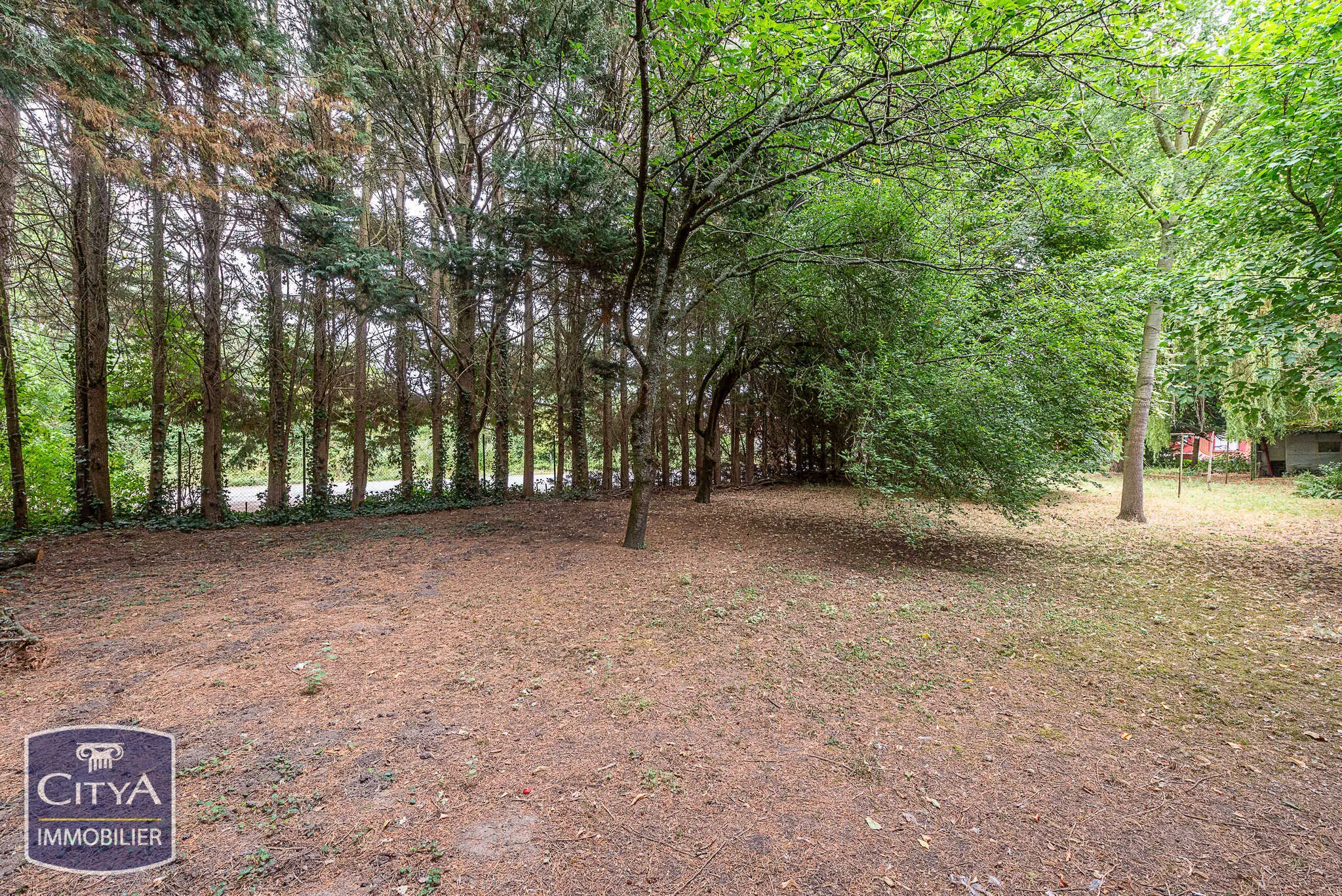 Photo 3 Terrain