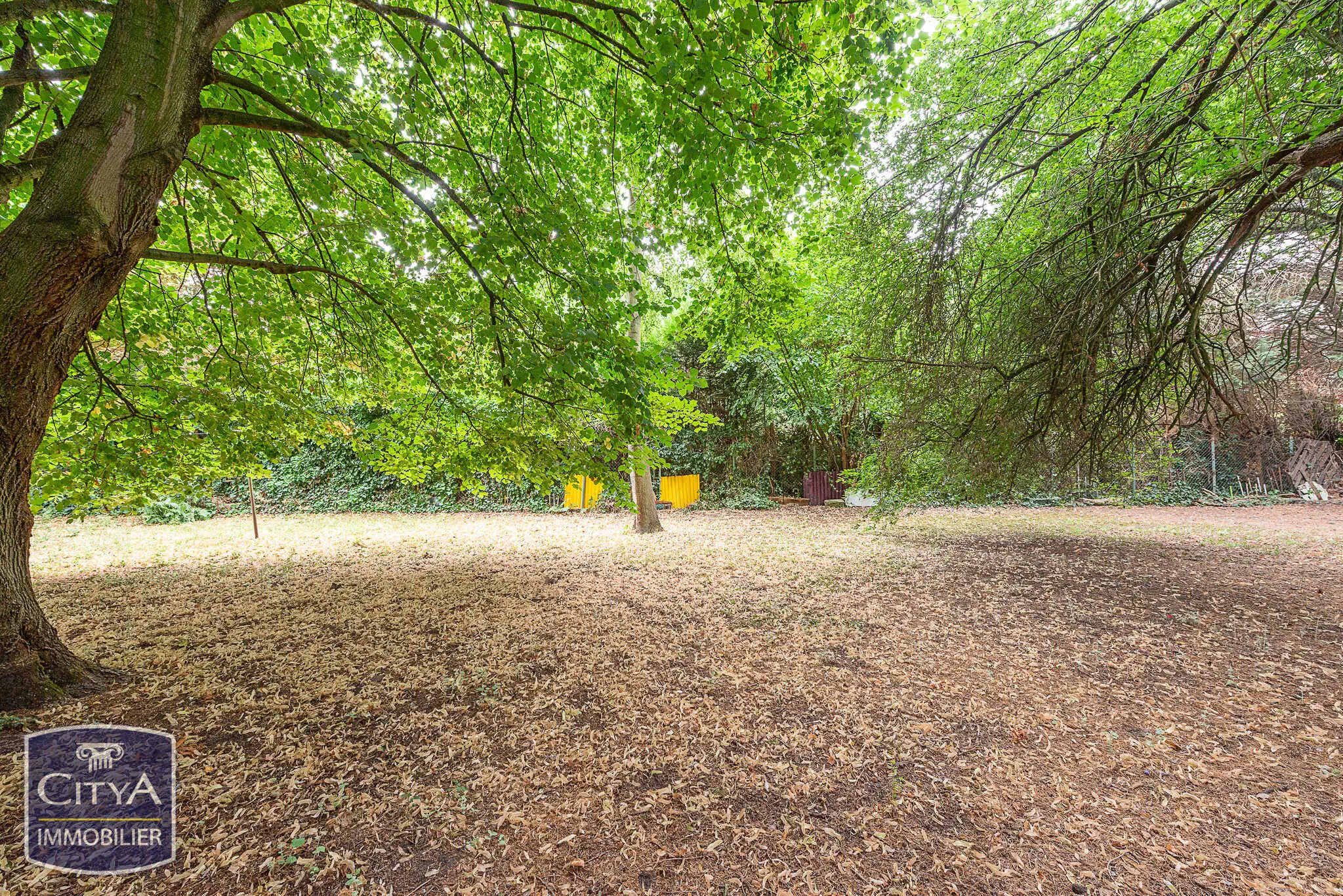 Photo 6 Terrain