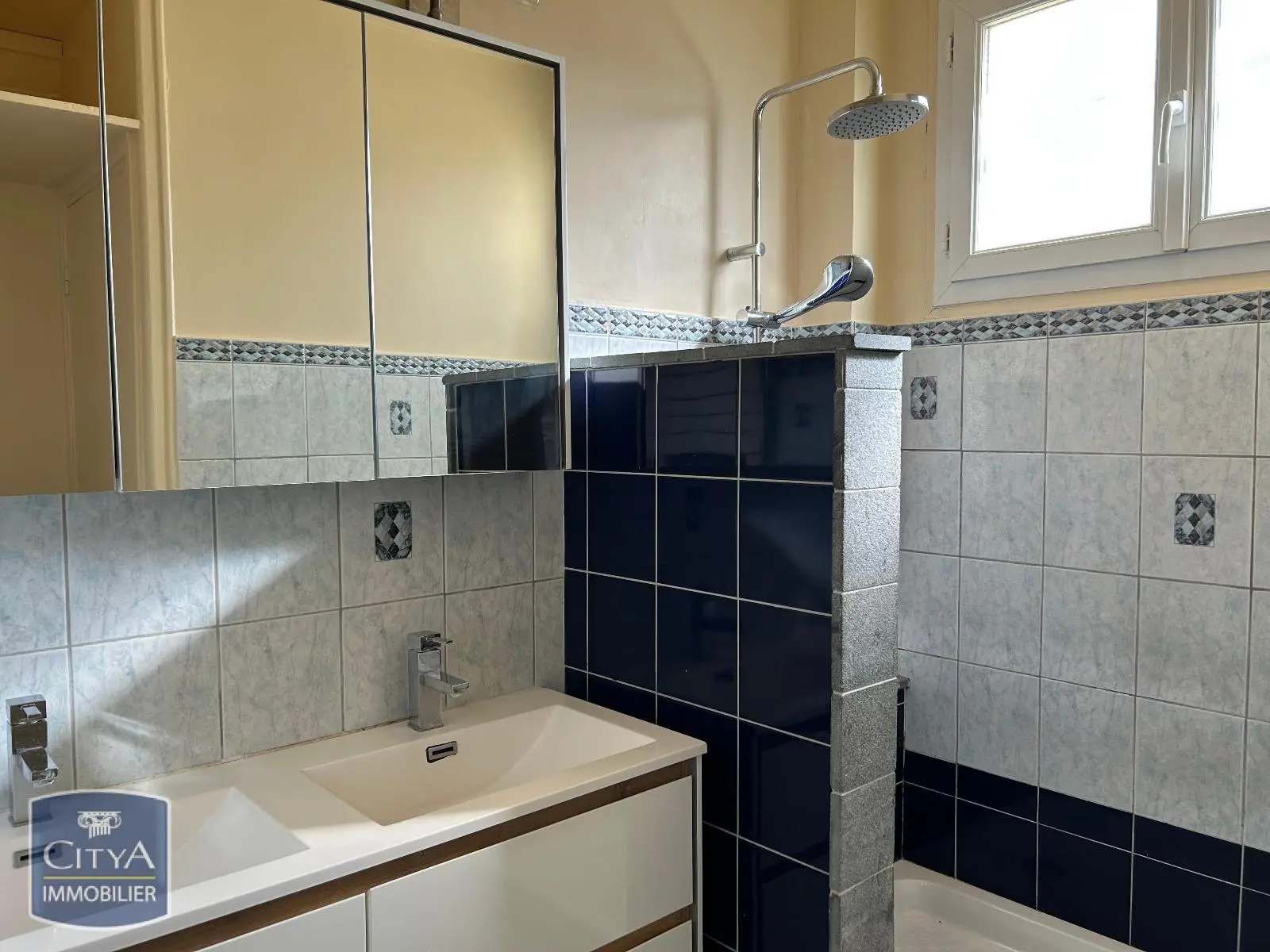 Antony (92160) Appartement 3 pièces 58.58m² photo 5