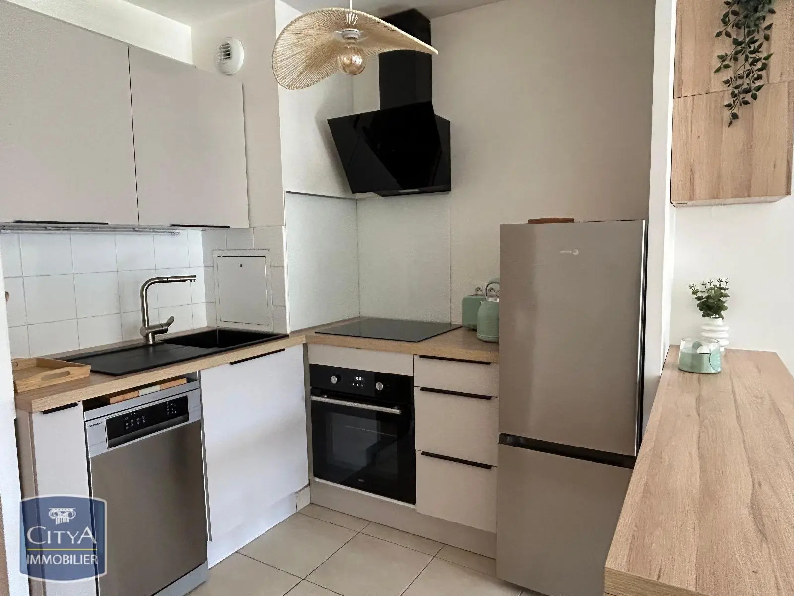 Antony (92160) Appartement 2 pièces 42.97m² photo 2