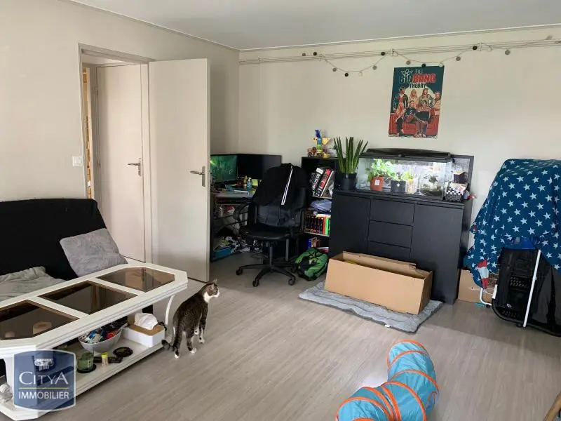 Photo 2 appartement Rennes