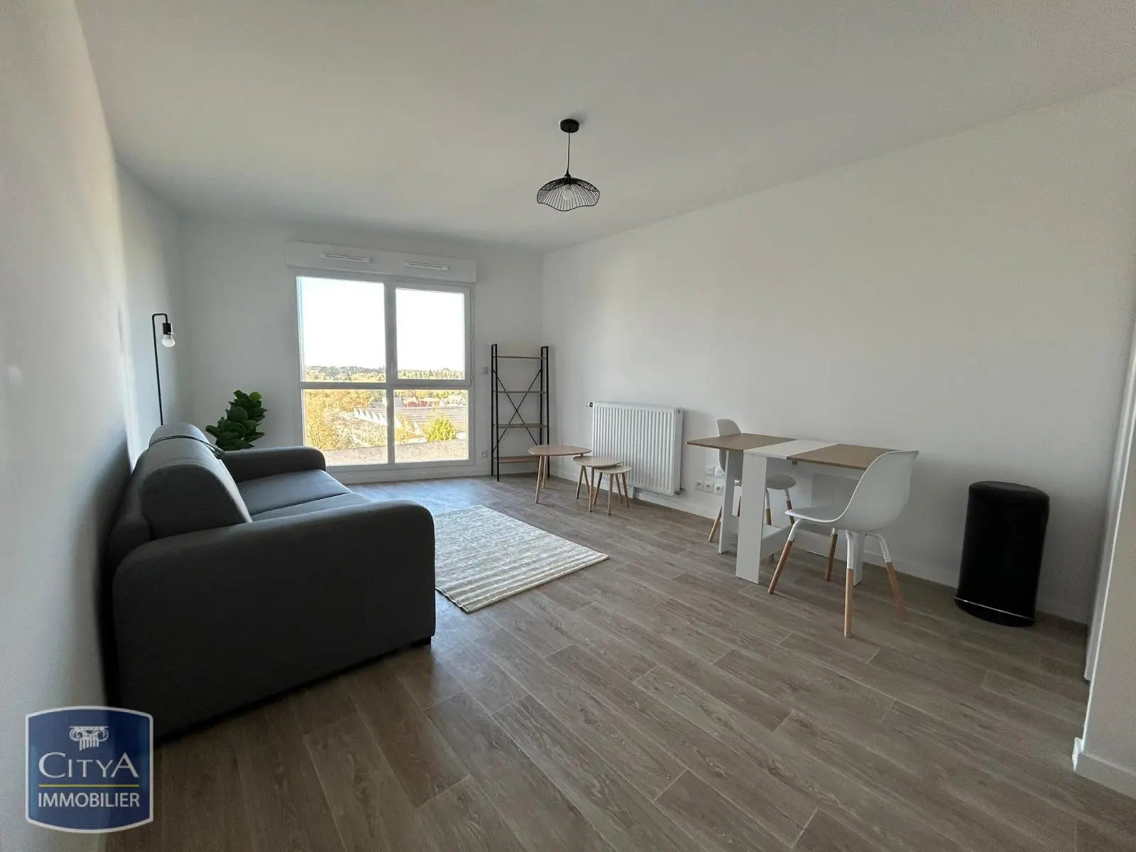 Photo 2 Appartement 1 pièce 30.12m²