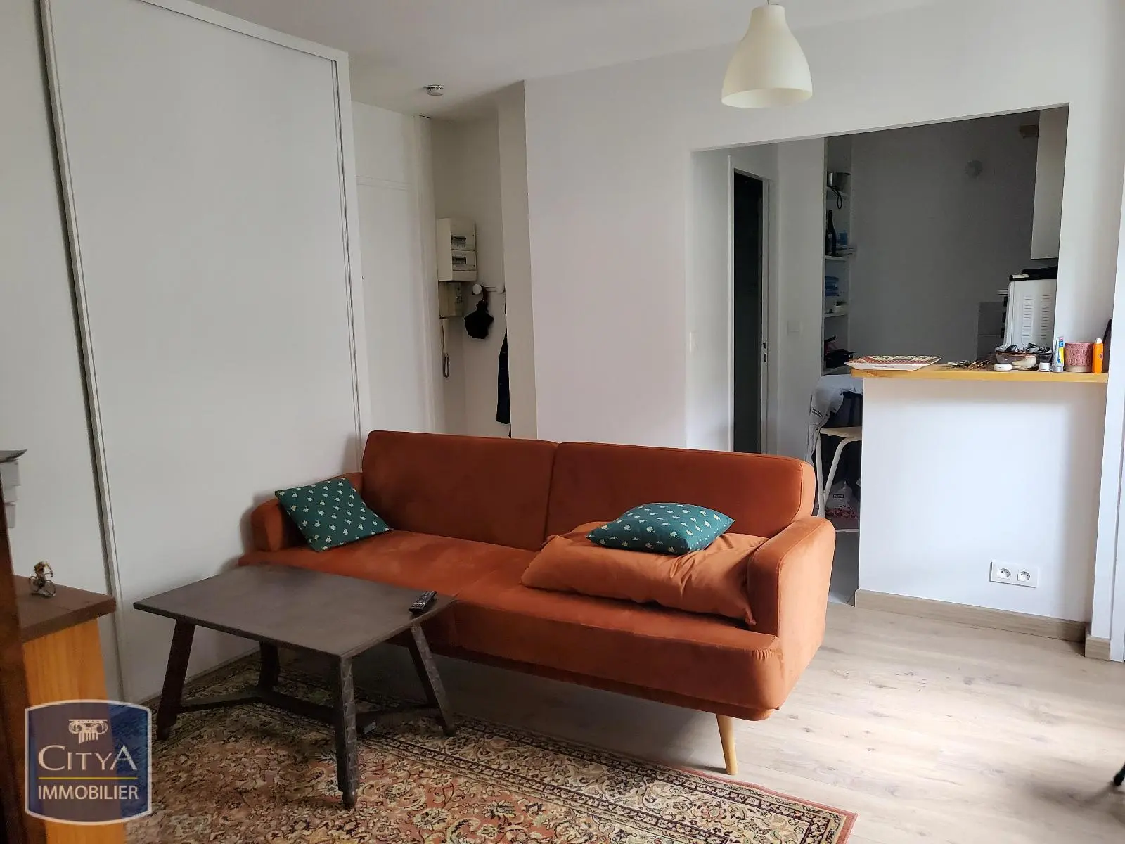 Photo 2 Appartement 2 pièces 31.29m²