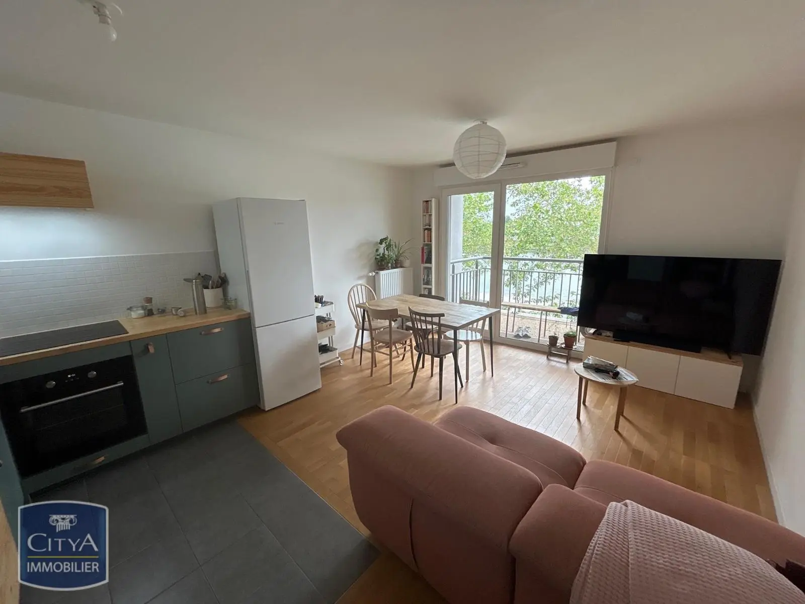 Photo 1 appartement Alfortville