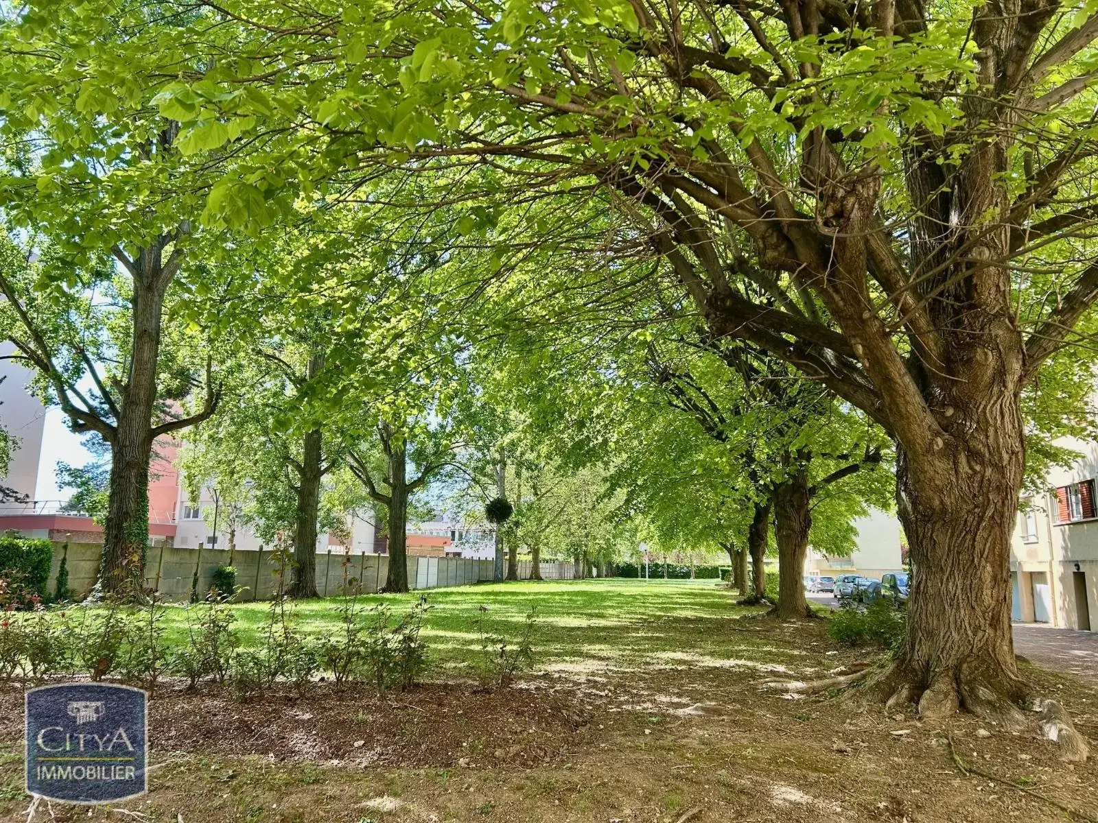 Photo 6 appartement Créteil