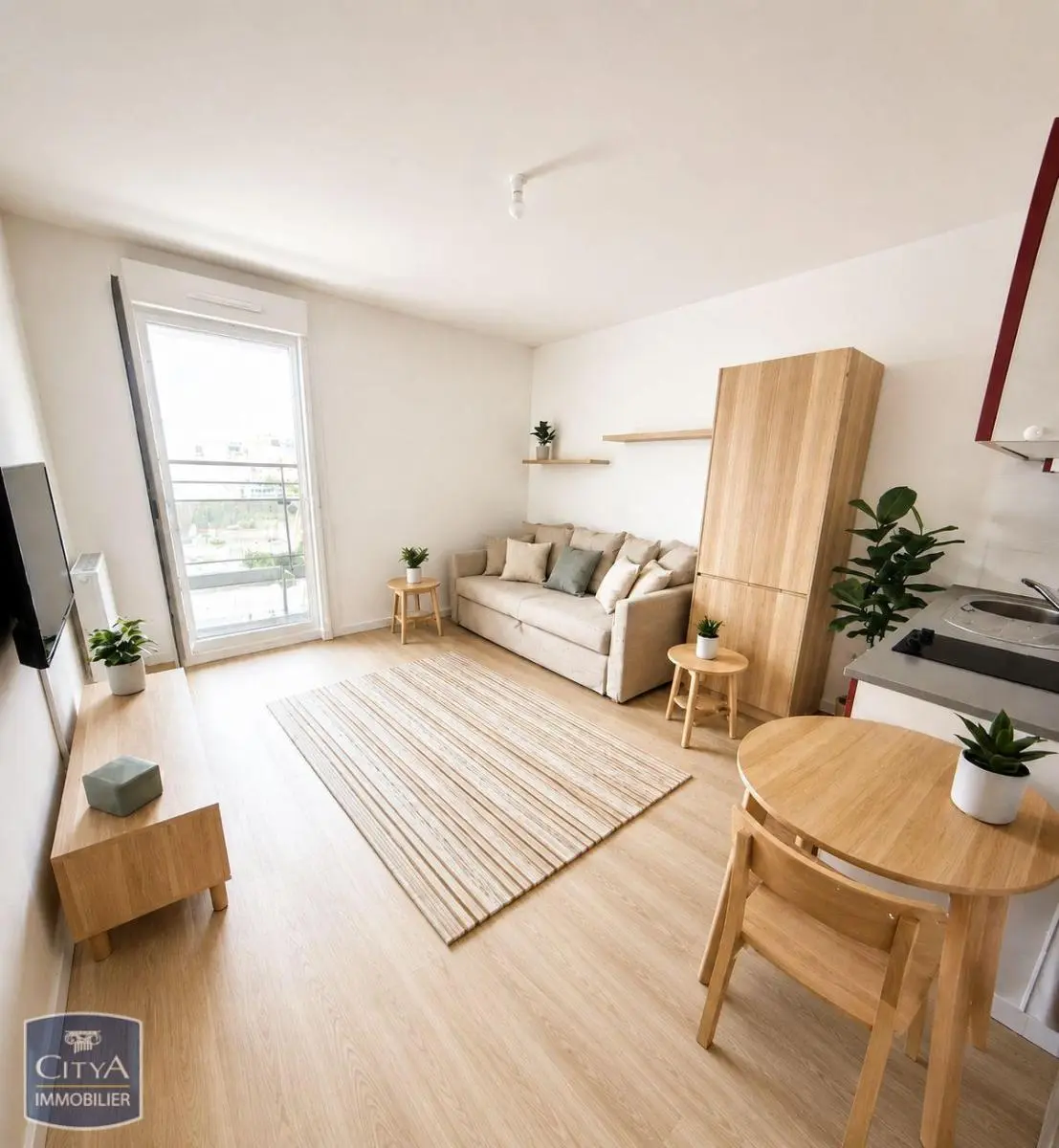 Bondoufle (91070) Appartement 1 pièce 24.19m²