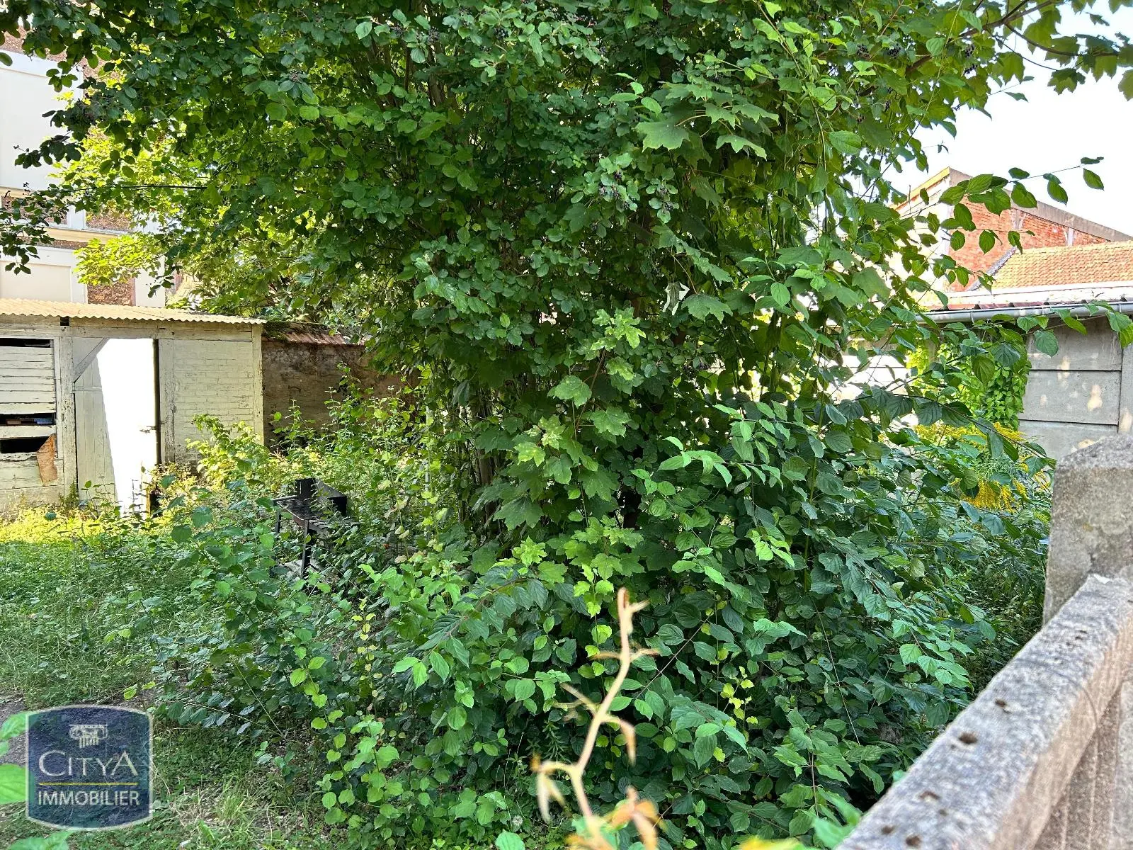 Photo 5 Immeuble