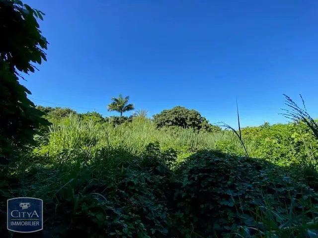 Photo 3 Terrain 832m²