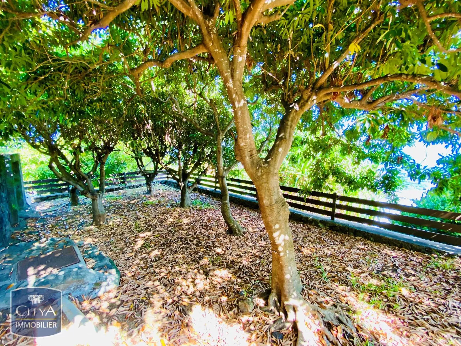 Photo 10 maison Saint-Paul