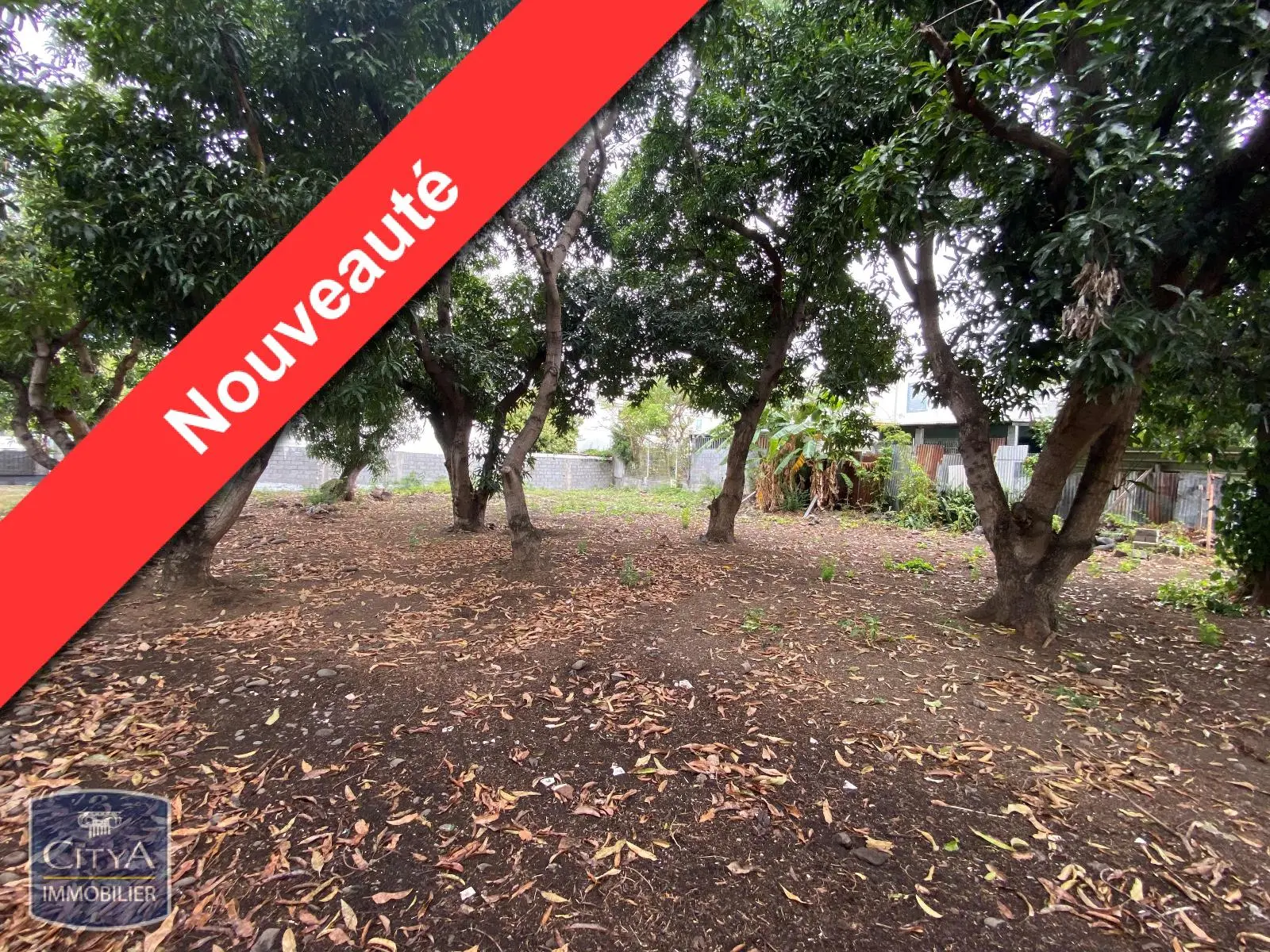 Photo 1 Terrain 826m²