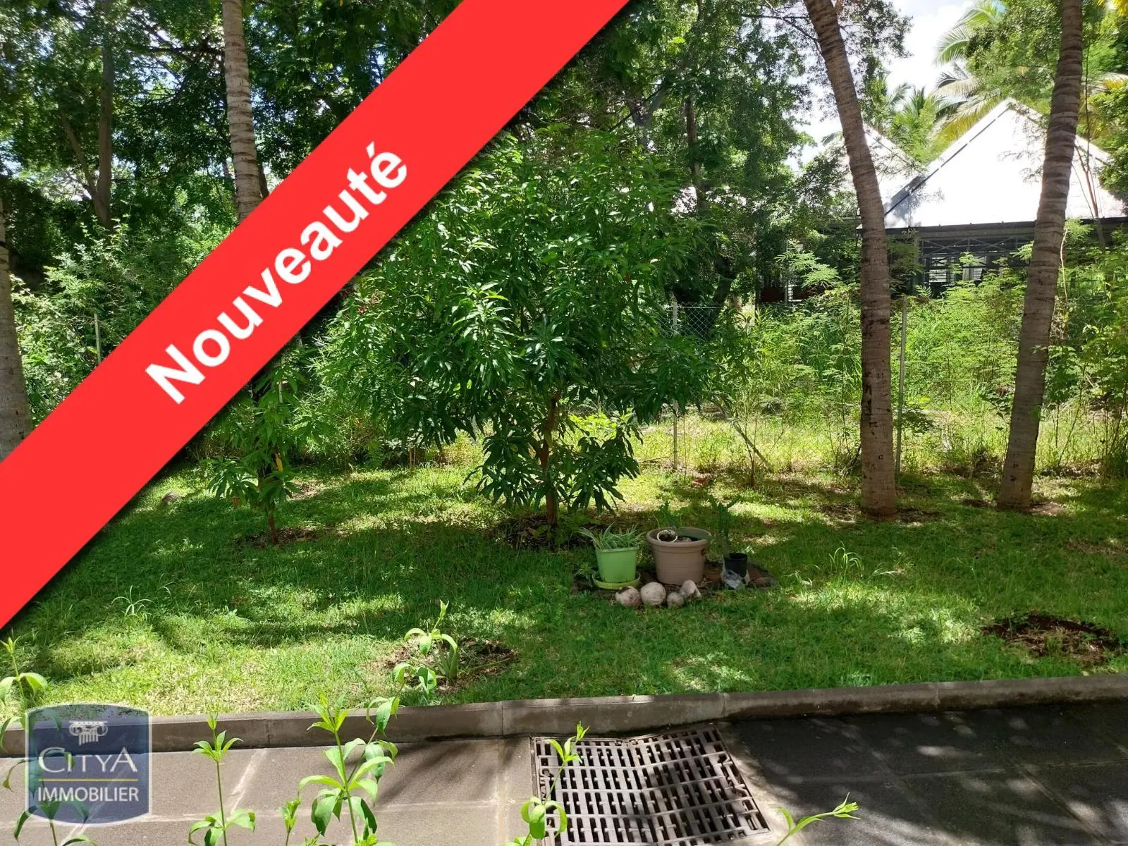 Photo 1 Appartement 2 pièces 46m²