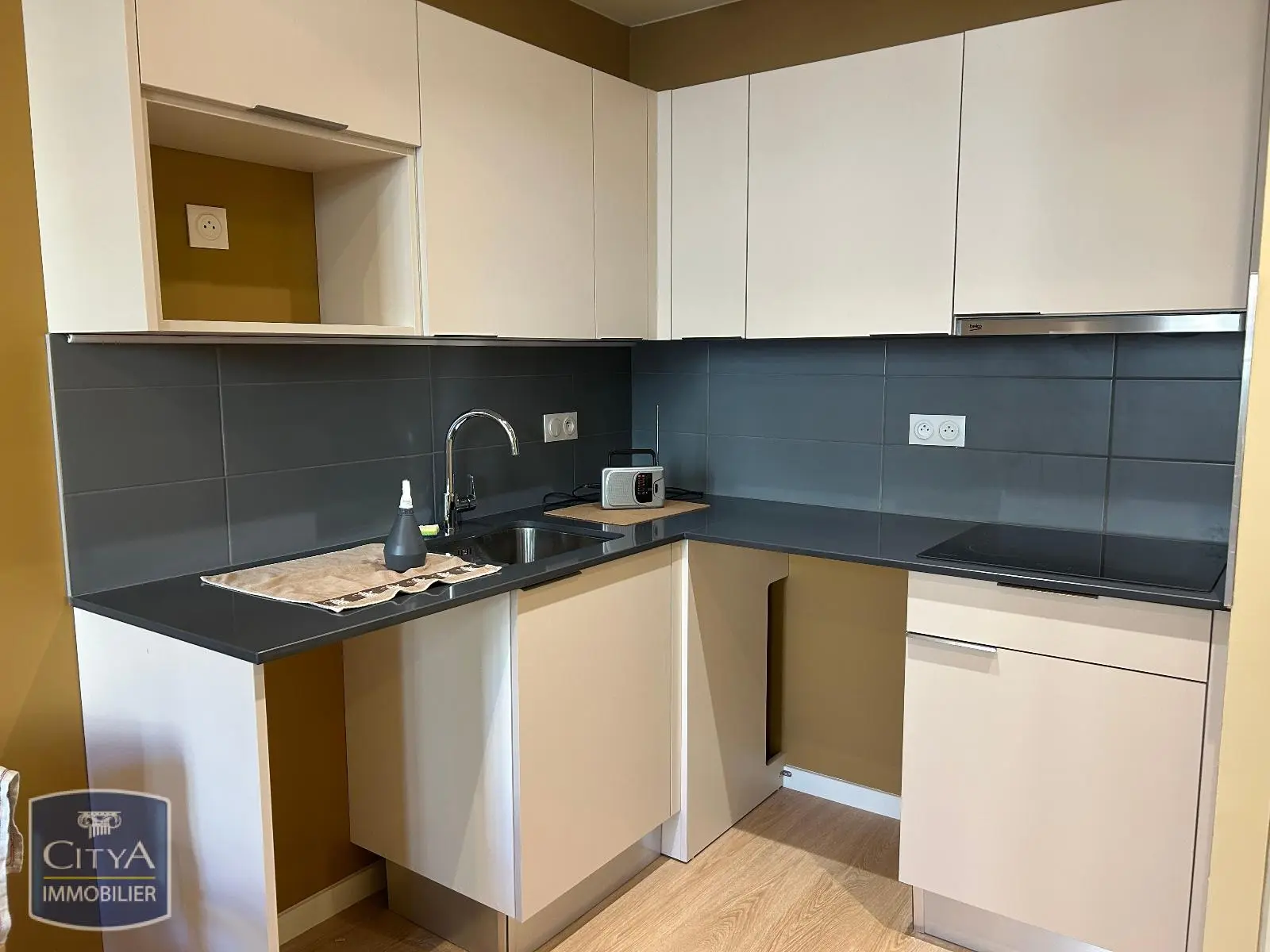 Photo 4 Appartement 1 pièce 41.9m²