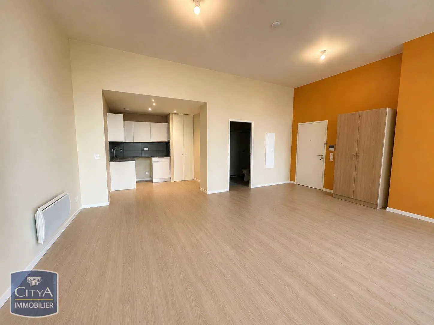Photo 3 Appartement 1 pièce 41.9m²