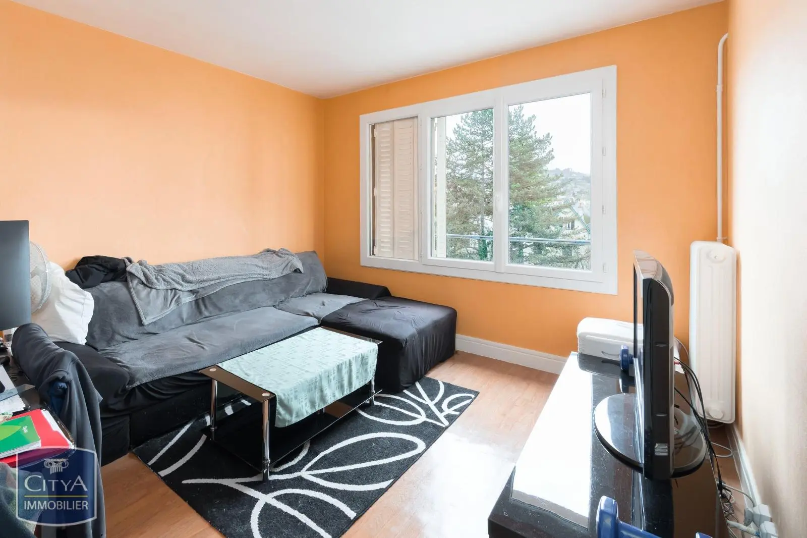 Photo 7 appartement Vichy