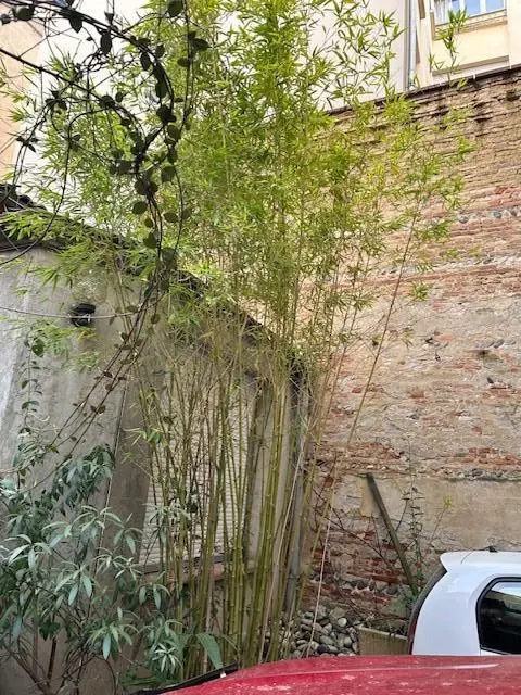 Photo 2 Local Commercial 134m²