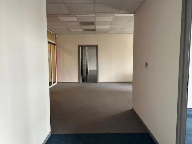 Photo 8 Local Professionnel 850m²