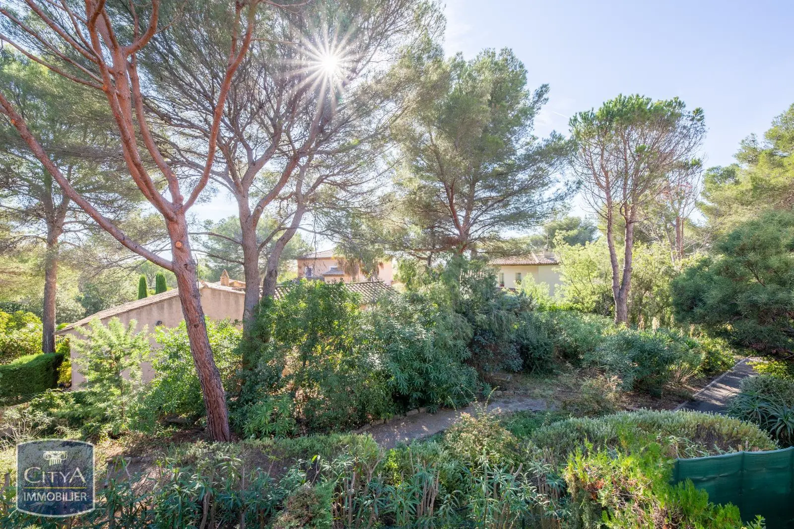 Photo 4 Appartement 1 pièce 21m²