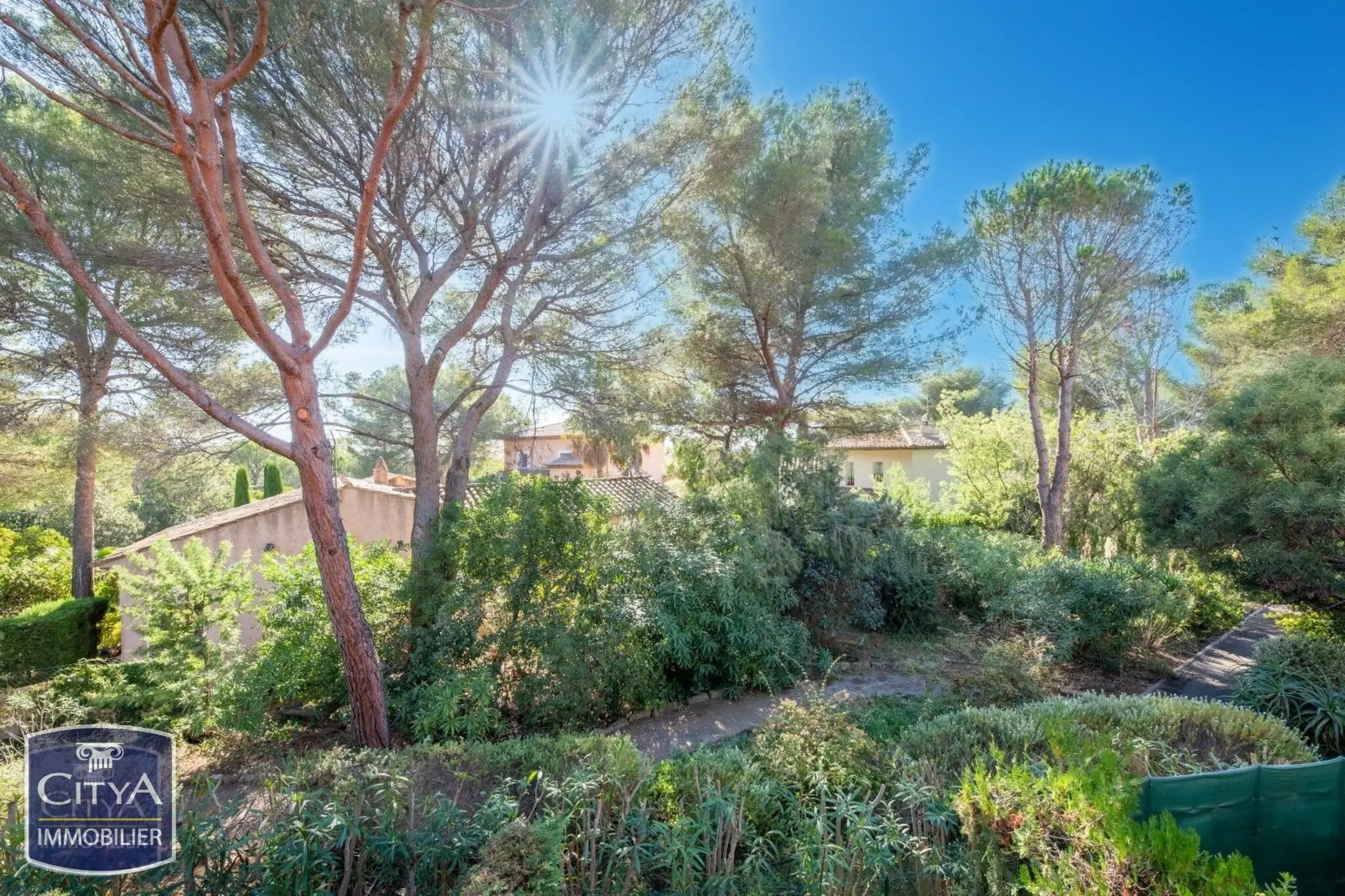 Photo 4 Appartement 1 pièce 21m²