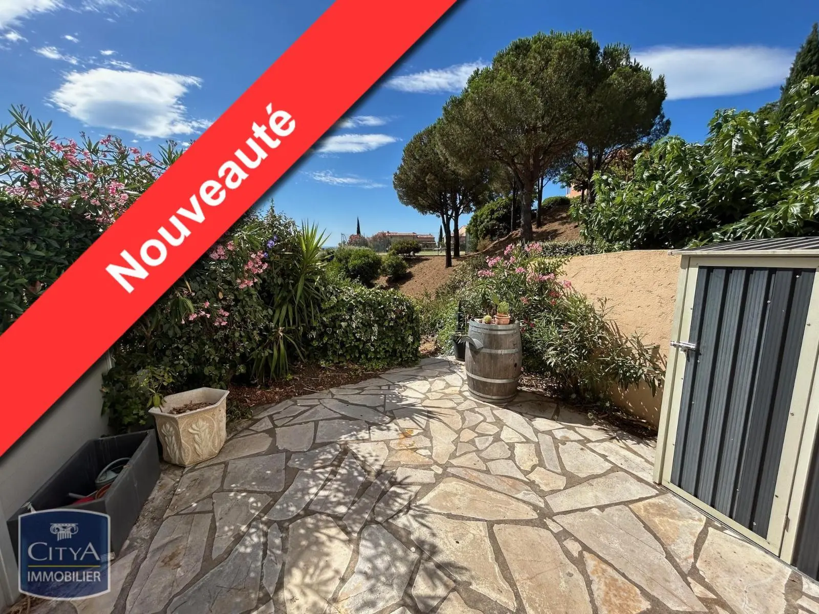 Photo 1 Appartement 1 pièce 35.52m²