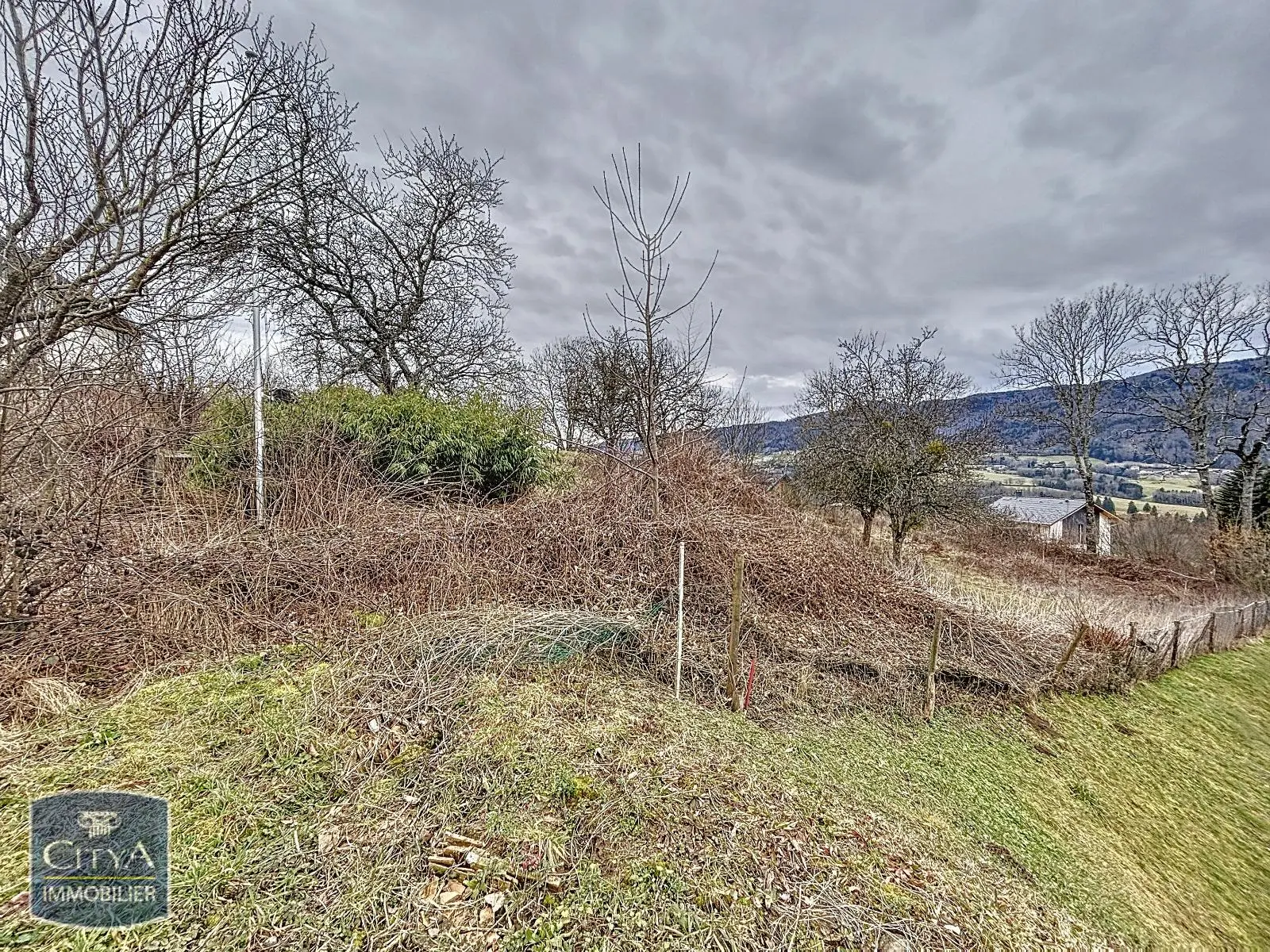 Photo Terrain 2300m²