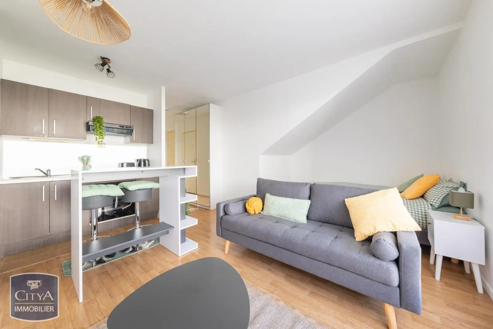 Photo 1 Appartement 1 pièce 27.3m²