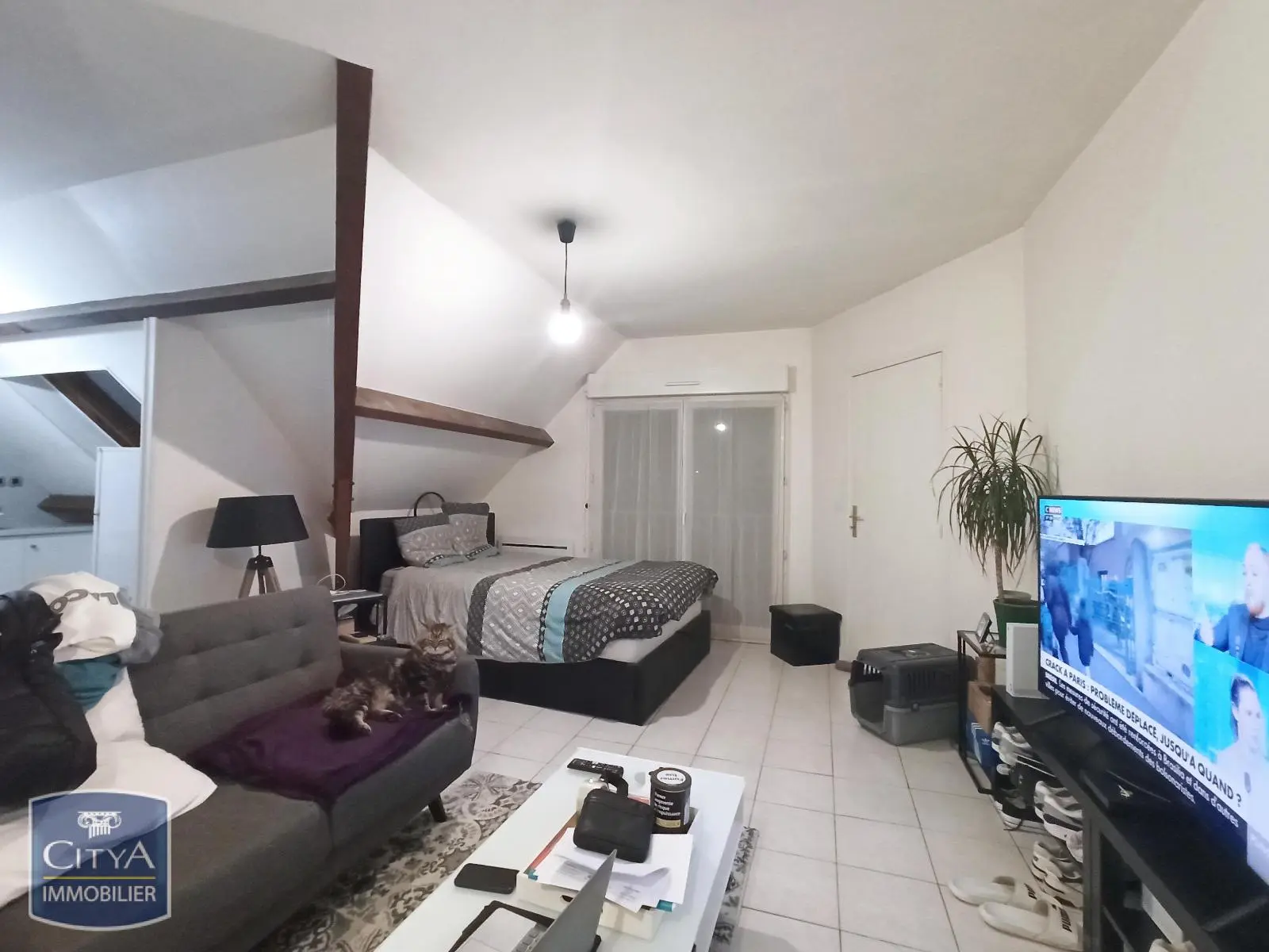 Photo 1 Appartement 1 pièce 32.36m²