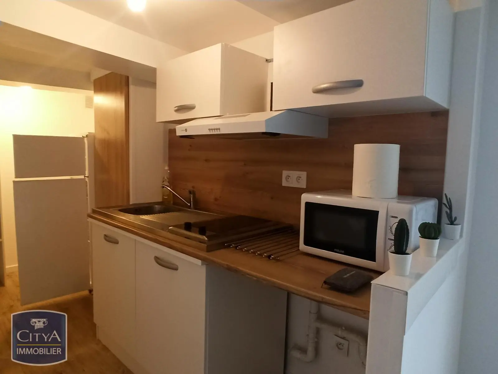 Photo 5 Appartement 1 pièce 48m²