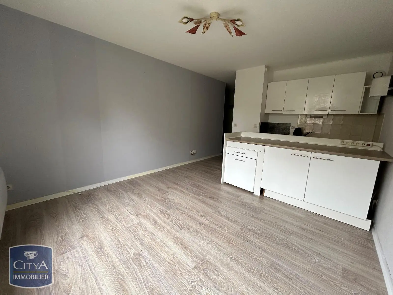 Photo 2 Appartement 1 pièce 22.3m²