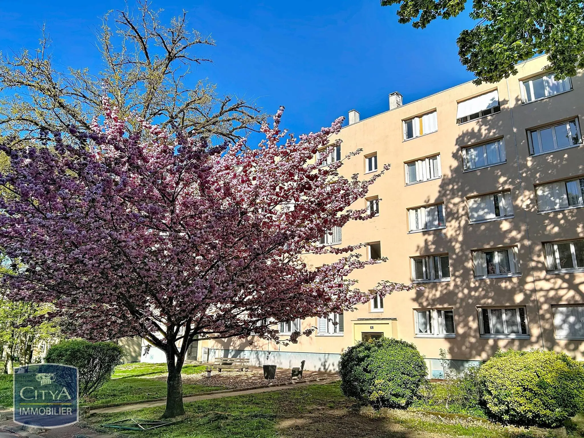 Photo 1 Appartement 3 pièces 50m²