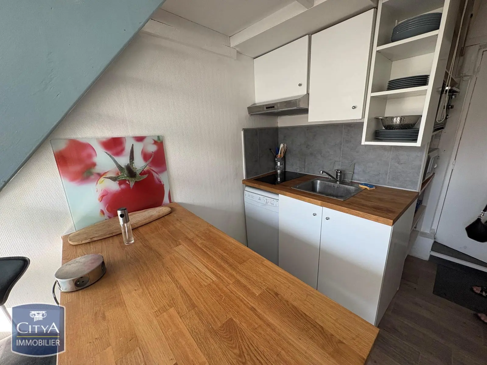 Photo 3 Appartement 1 pièce