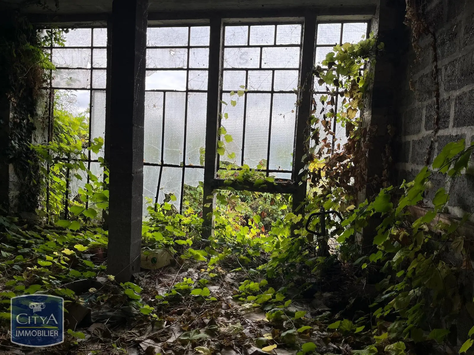 Photo 14 Immeuble 244.39m²