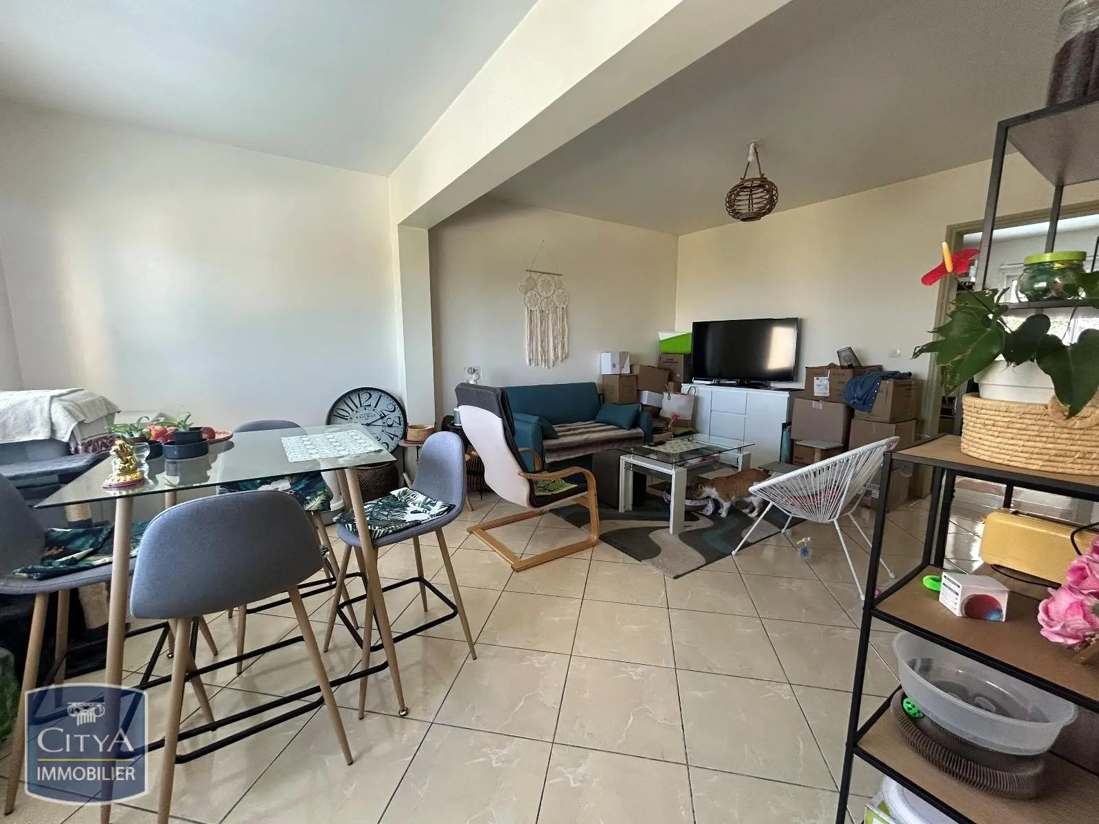 Photo 4 appartement Le Tampon