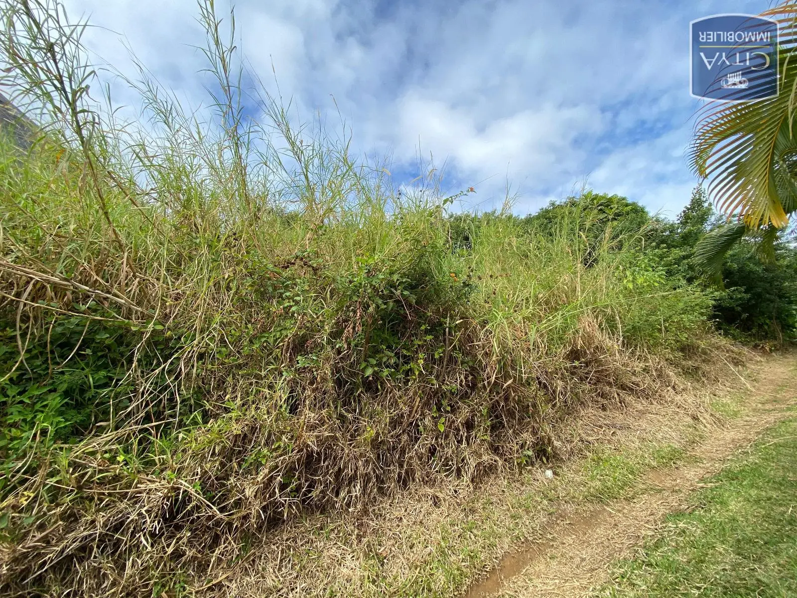 Vente terrain SainteMarie (97438), 165 000€ Citya
