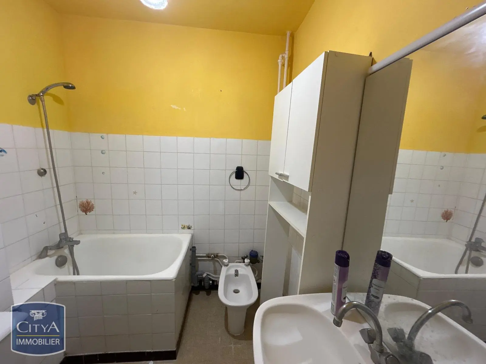 Photo 4 Appartement 1 pièce 22.55m²