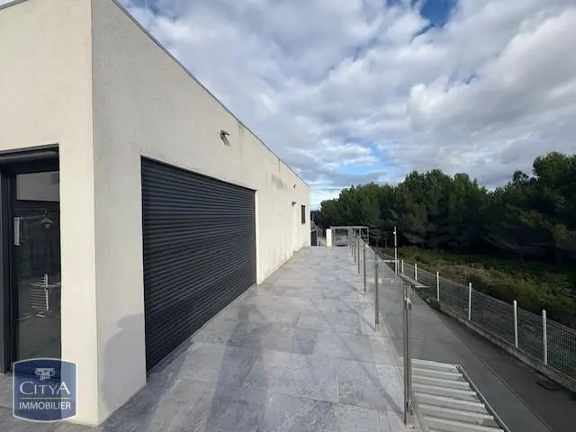 Photo 5 Local Professionnel