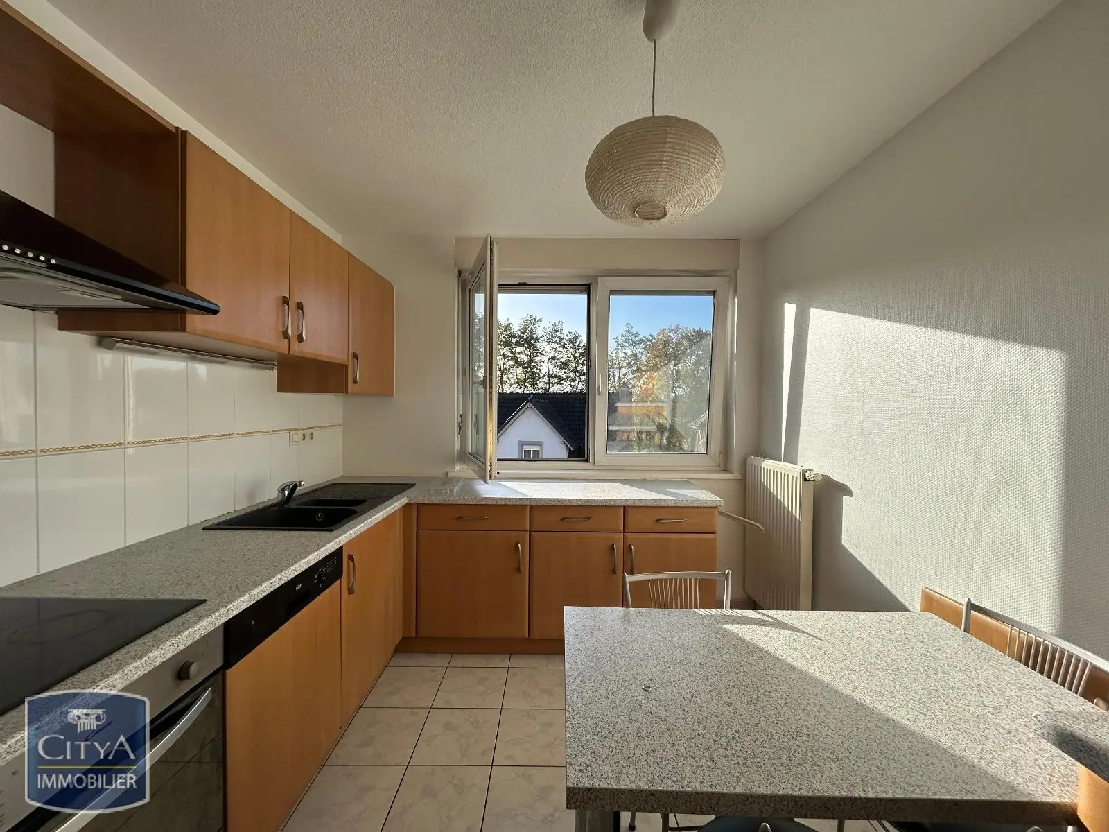 Photo 3 appartement Strasbourg