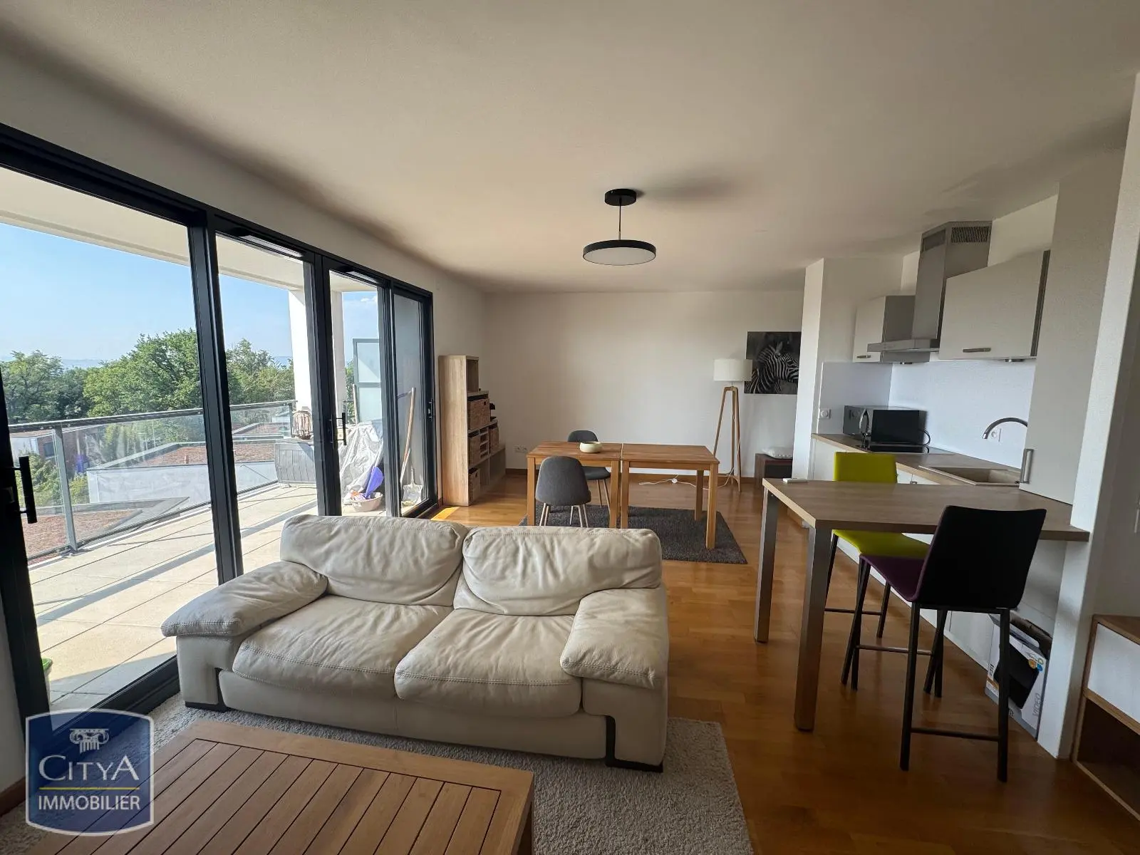 Photo 6 Appartement 1 pièce 41.98m²