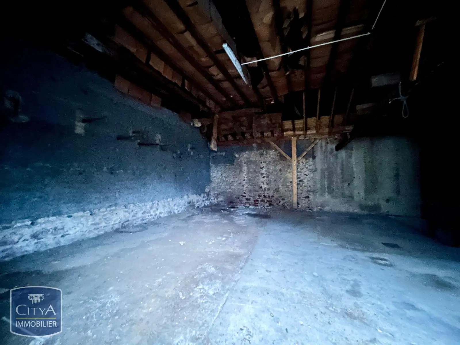 Photo 3 Local Professionnel